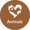 Animals_circle